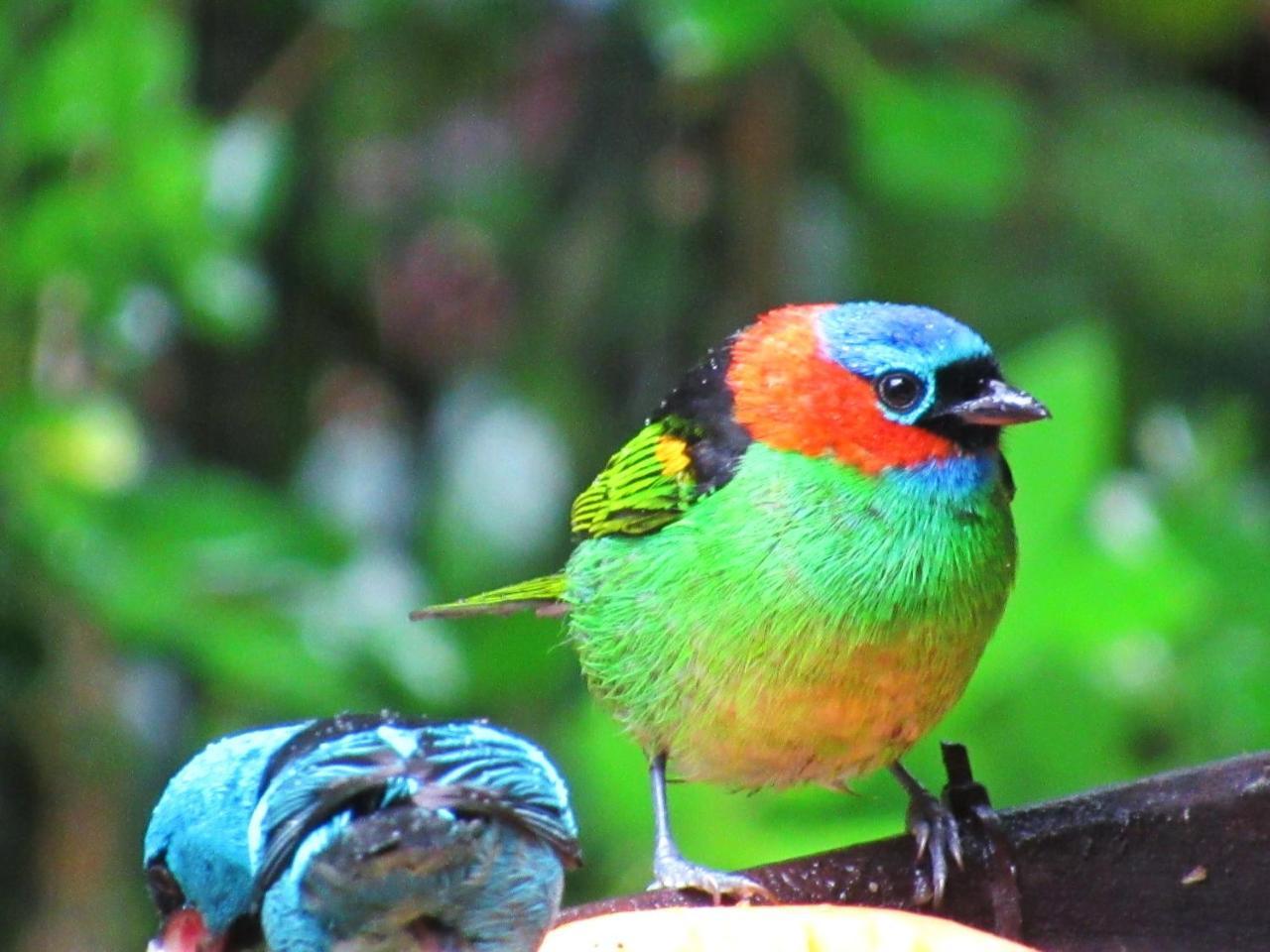 Pousada Do Pinheiro Camburi  Luaran gambar